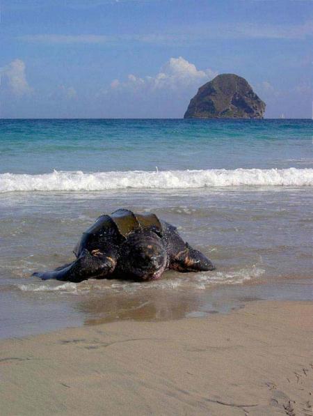 la plage